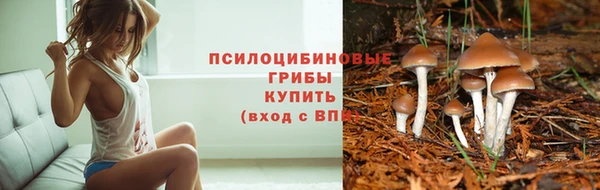 альфа пвп Козельск