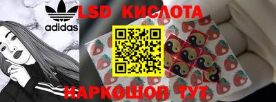 стаф Канаш