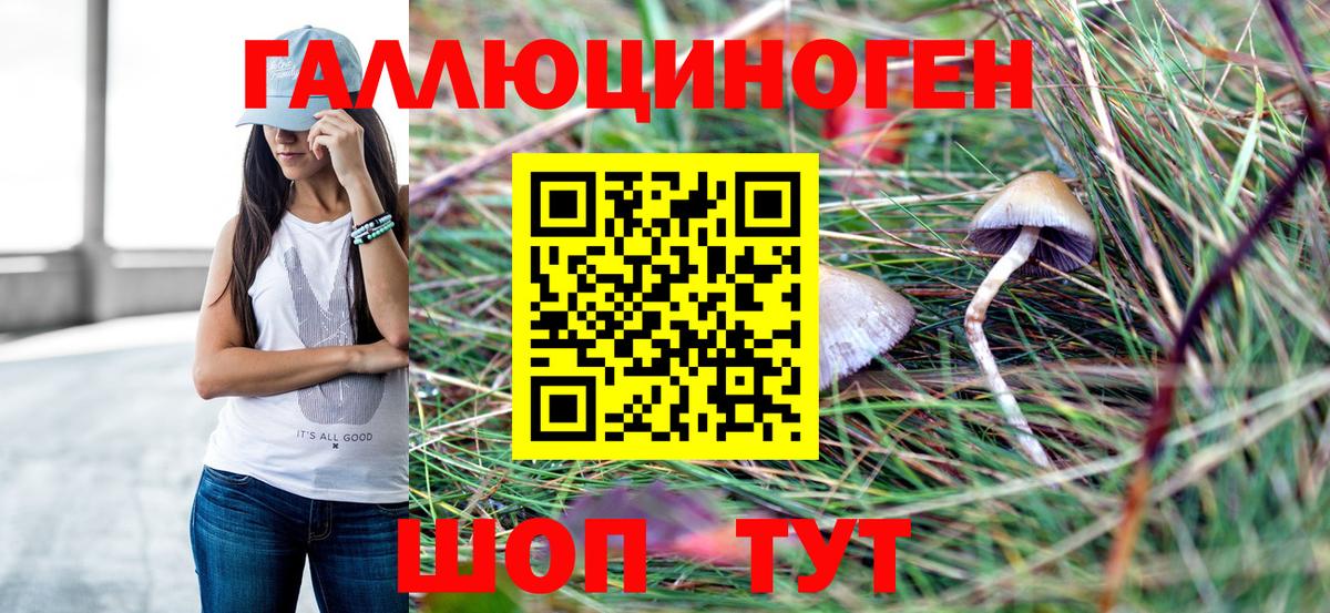 Псилоцибиновые грибы Psilocybine cubensis Кубинка