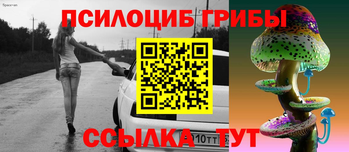 Галлюциногенные грибы прущие грибы  Кубинка 