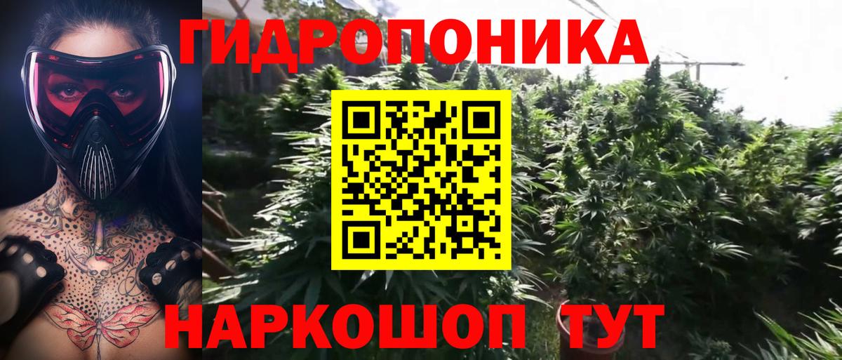 Марихуана индика Кубинка